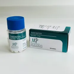 Тамоксифен Магнус (Tamoxifen Magnus) 10мг 100т